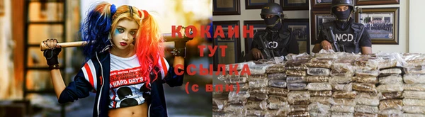 винт Абаза
