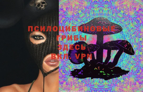 мет Алексин