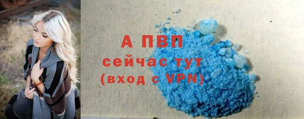винт Абаза