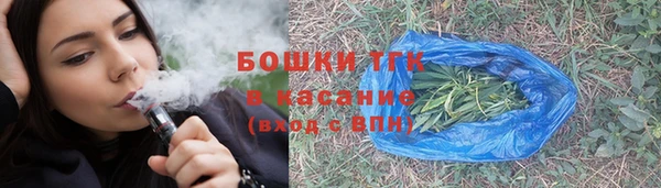 прущие грибы Алексеевка