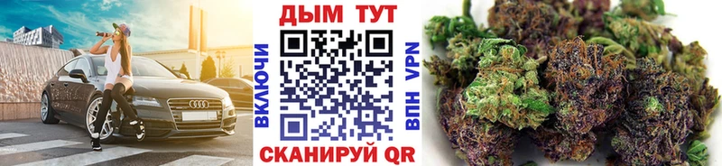 Конопля сатива Ермолино